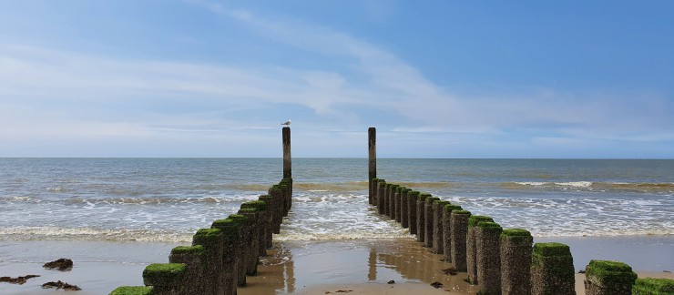 Nieuw-Haamstede -strand2.jpg