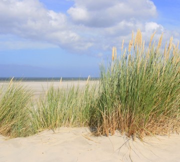 Natuur Strand in Zeeland